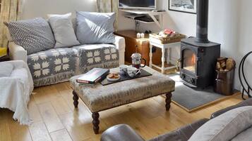 Smart TV, fireplace, Netflix, books