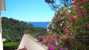 A balcony with a view of the sea, lush greenery, and flowering plants. - Apartment surrounded by tranquility with beautiful sea view (Capoliveri)