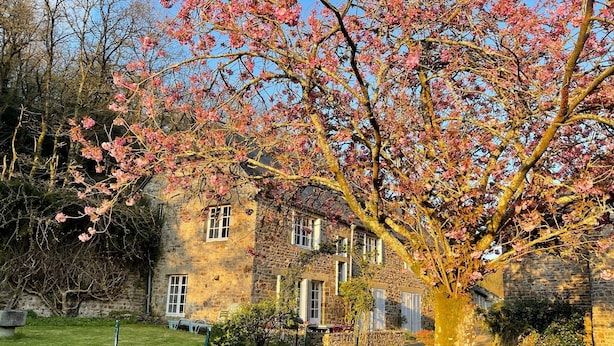 Ein Gebäude aus Stein mit vielen Fenstern und einem Garten mit einem blühenden Baum.
