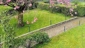 Ein großer Baum mit rosa Blüten in einem angelegten Garten mit einer Rasenfläche und einem Kiesweg.