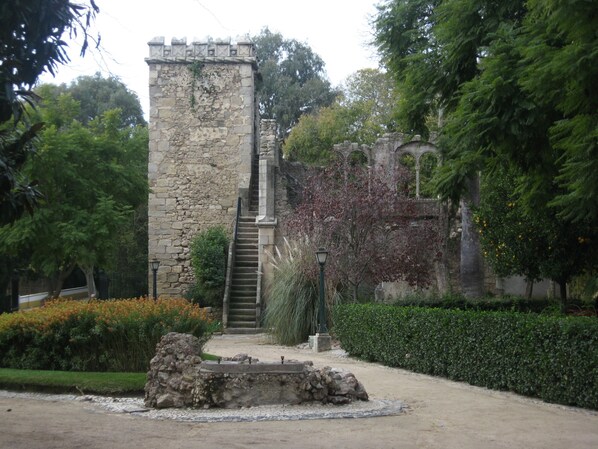 Áreas de la propiedad