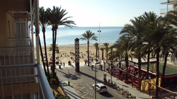 A street with a view of the beach and palm trees. - Front Line 4th floor La Goleta Apt Overlooking Benidorm Island And Levante Beach (Benidorm)