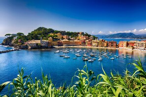 Un pueblo costero con edificios coloridos, un puerto deportivo con numerosos barcos y un mar azul cristalino.