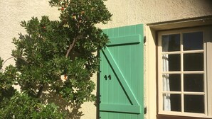 Um edifício com uma janela com persianas verdes e uma árvore na frente.