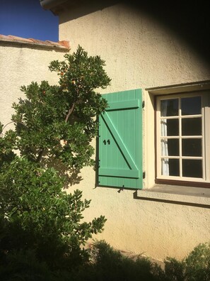 Detall de l'exterior
