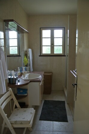 Shower, towels, soap, toilet paper