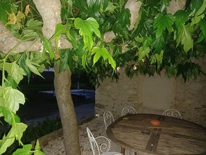 Un espace extérieur aménagé avec une table et des chaises, entouré d’une végétation luxuriante et d’un arbre.