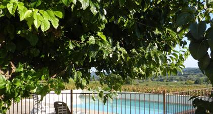 Provencal farmhouse (3 independent houses) in a vineyard