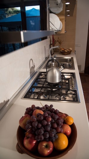 Fridge, microwave, stovetop, dishwasher