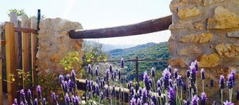 Casa rural (alquiler íntegro) La Encina para 8 personas