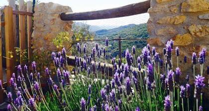 Self catering La Encina for 8 people