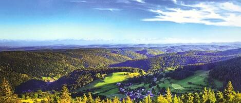 Vista panorámica de un paisaje montañoso con densos bosques y un pequeño pueblo situado en el valle.