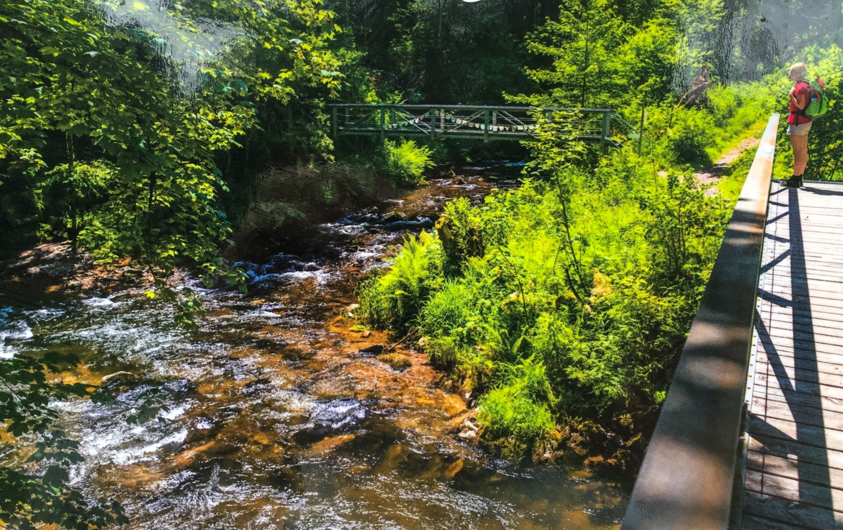 A river flowing through a forested area with a bridge and a wooden walkway.