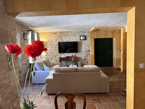 Smart TV, chimenea, libros, estéreo