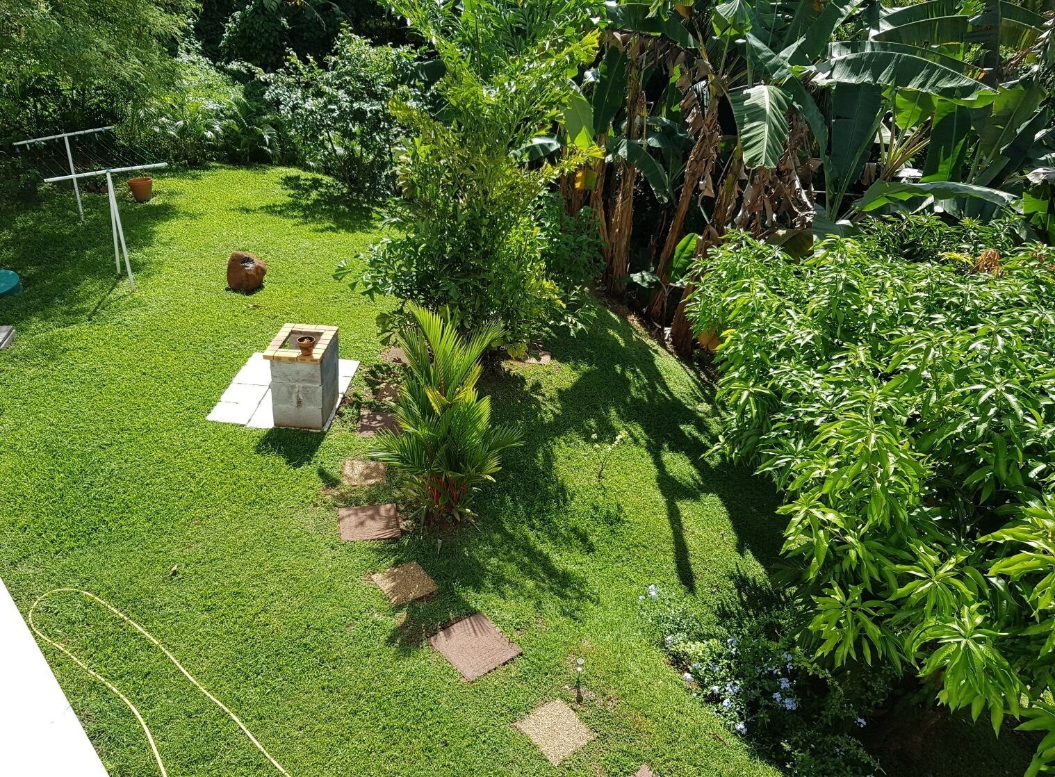 Un exuberante jardín con diversas plantas y un pequeño espacio de estar al aire libre.