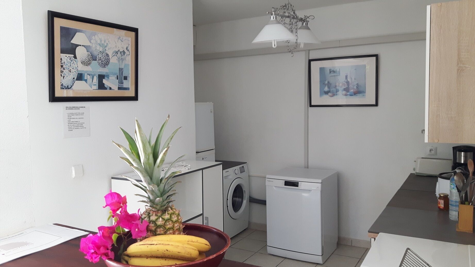 A compact kitchen with a washing machine, a small refrigerator, and a coffee maker. There are two framed pictures on the wall, and a plant with flowers on the counter.