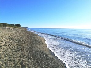Plage, chaises longues