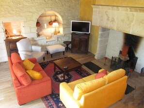 Télévision, cheminée, lecteur de DVD, livres