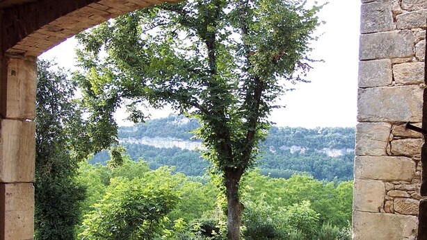 An arched stone doorway leading to a grassy area with a tree and a view of a forested hill. - magnificient 16th century MANOR HOUSE with POOL and JACUZZI (Cénac-Et-Saint-Julien)