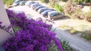 Un parking avec plusieurs voitures et un bâtiment, avec des fleurs violettes au premier plan.