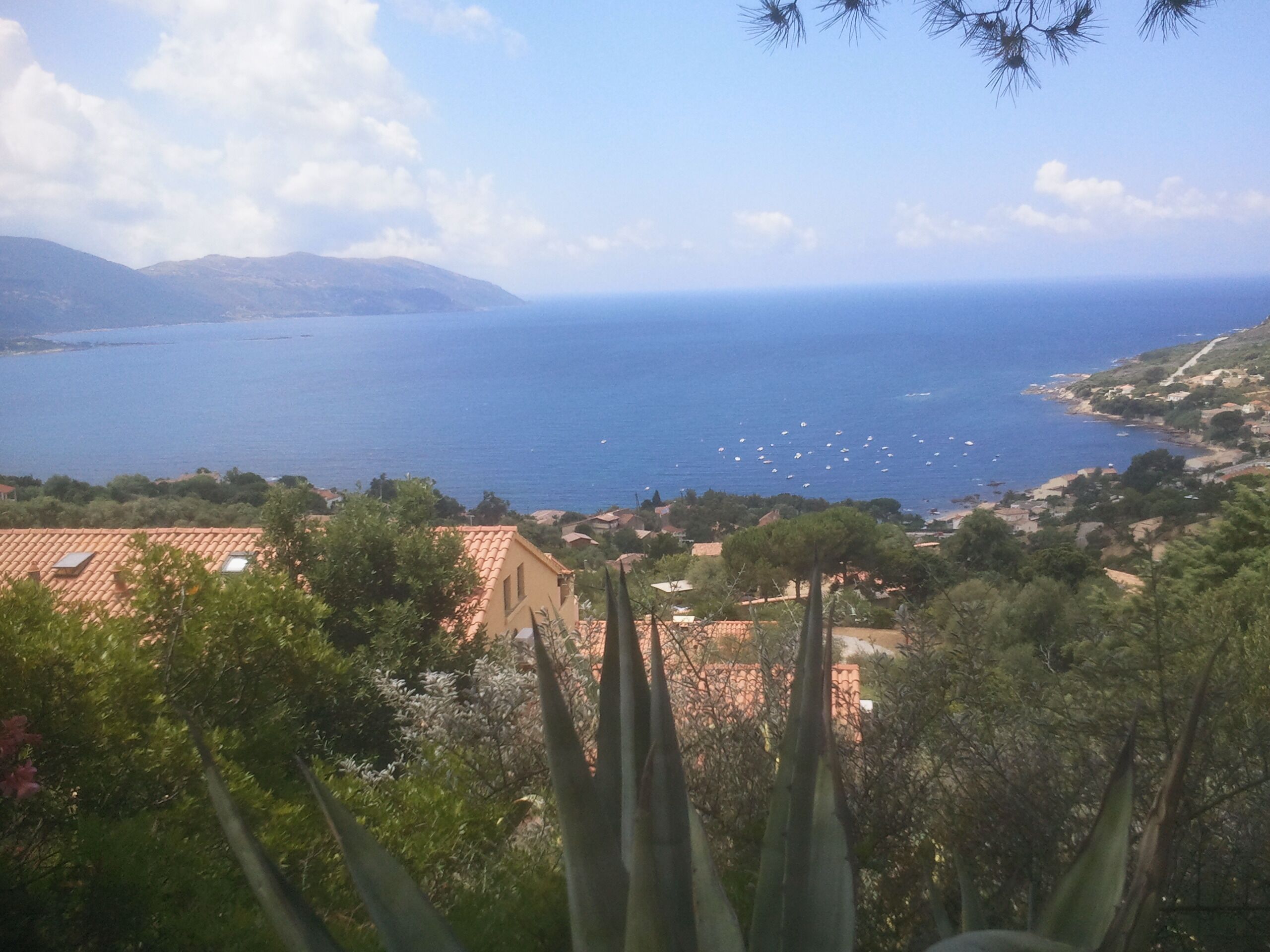 Eine Küstenlandschaft mit Blick auf das Meer, Gebäude und Vegetation.