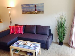 Téléviseur, lecteur de DVD, livres, chaîne audio