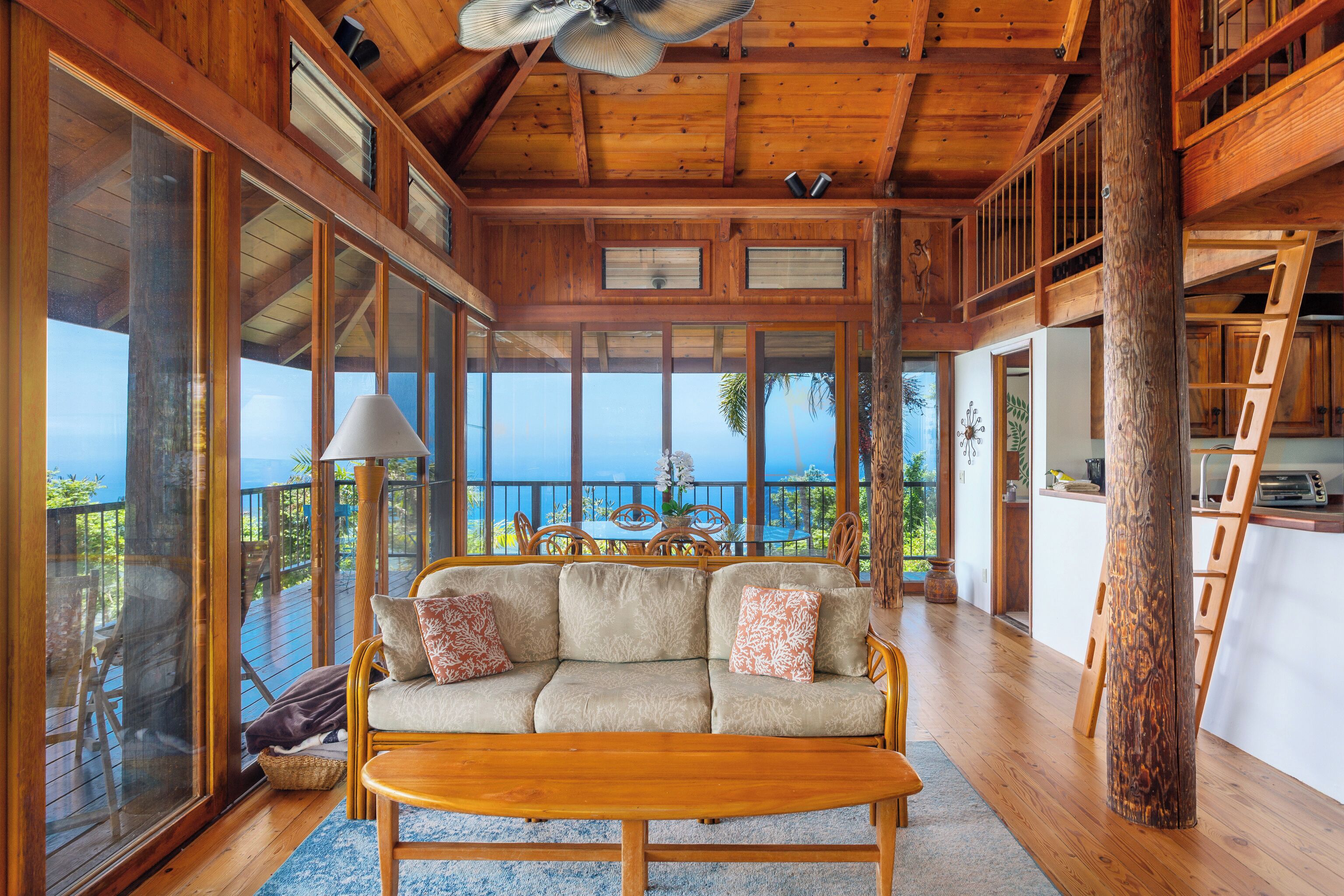 TV, DVD player, books, music library