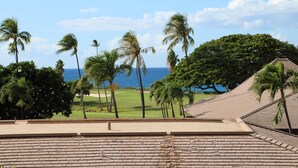 A view from a hotel roof overlooking a golf course with palm trees and a clear sky. - Maui Eldorado Beachfront Resort - Apt I-101 - Two Bedroom Vacation Rental Condo (Lahaina)