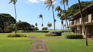 A pathway leading to a building with a balcony, surrounded by lush greenery and palm trees. - Maui Eldorado Beachfront Resort - Apt I-101 - Two Bedroom Vacation Rental Condo (Lahaina)