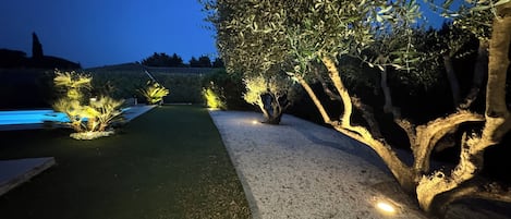 A landscaped garden with a swimming pool, illuminated trees, and a gravel path.