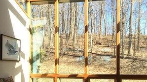 A room with a large glass wall, a wooden floor, a sofa, and a rocking chair.