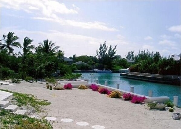 Un espace piscine offrant une vue dégagée sur l’eau, entouré de palmiers et d’une végétation tropicale.