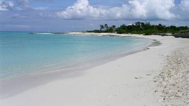 Ein Strand mit klarem türkisblauem Wasser, weißem Sand und einer Baumreihe im Hintergrund.