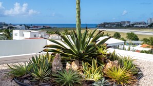A rooftop garden with various plants and a view of the ocean and buildings in the background. - OCEAN FRONT 3 BEDROOM PENTHOUSE UNIT. STAY IN LUXURY. (Beacon Hill,)