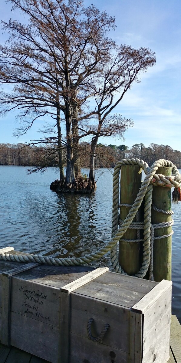 Ein Steg mit einem Holzpfosten und einer Kette, ein großer Baum im Wasser und eine Holzkiste mit Inschriften.