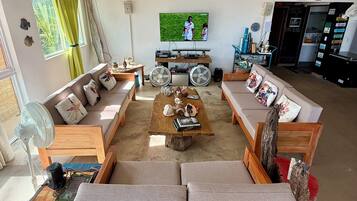 Smart TV, fireplace, books, video library