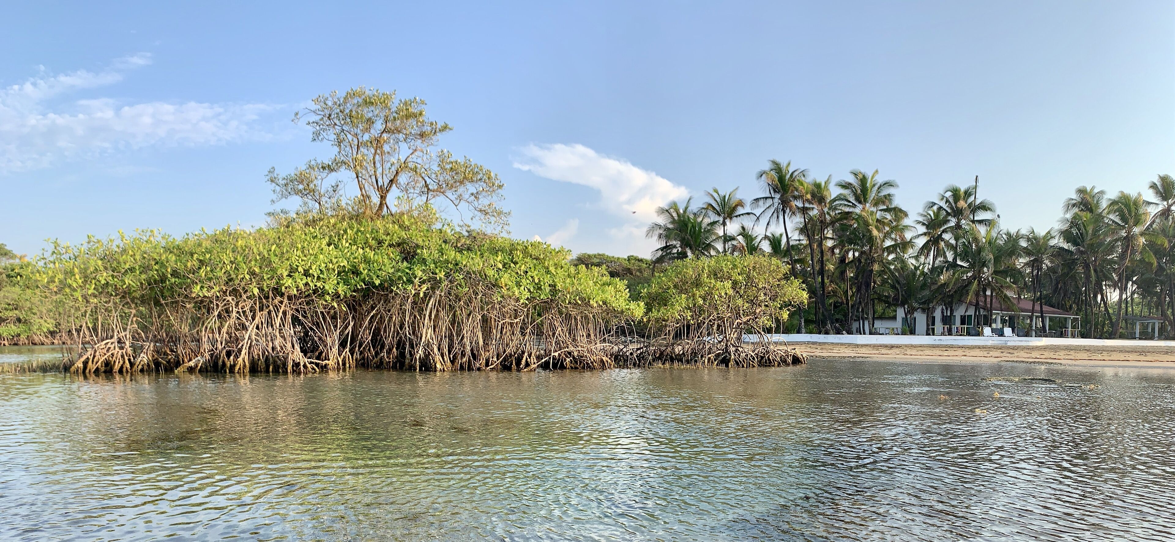Rannalla, aurinkotuoleja, rantapyyhkeitä