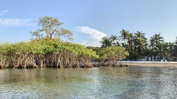 On the beach, sun loungers, beach towels