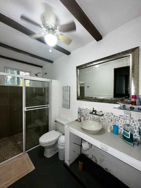 A bathroom with a glass shower enclosure, a toilet, a sink with a mirror, and a ceiling fan.