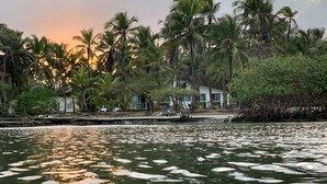 En ejendom ved stranden med palmer, et vandareal med is og en bygning med mange vinduer.