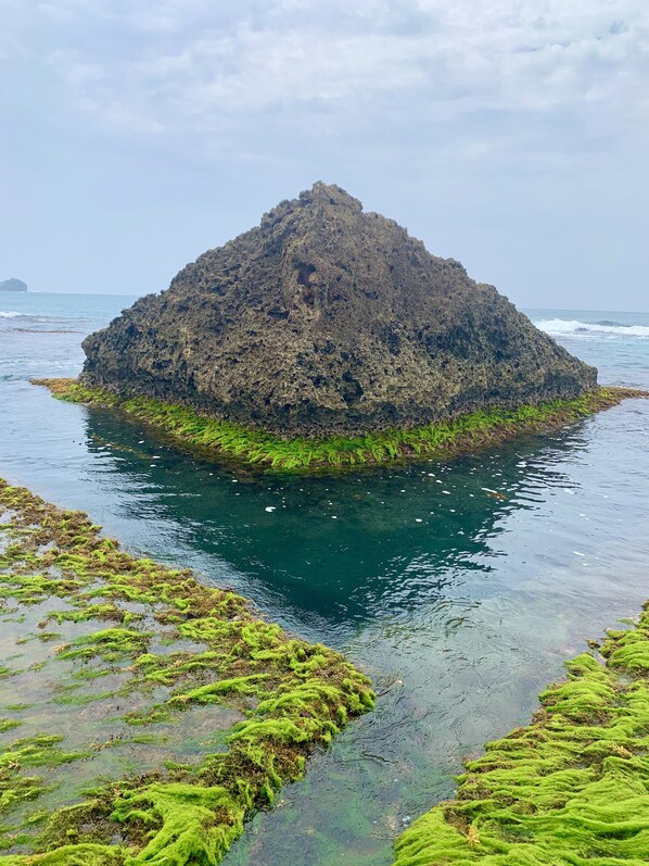 A rocky island surrounded by clear water with green algae.