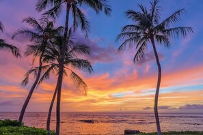 Am Strand, Strandtücher