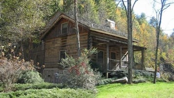 Escape to a secluded cabin surrounded by dense foliage and a traditional design.