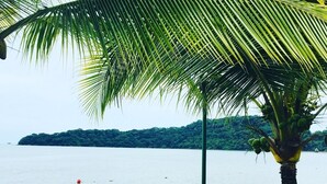 Une plage avec un palmier, une clôture en bois et une planche de surf.