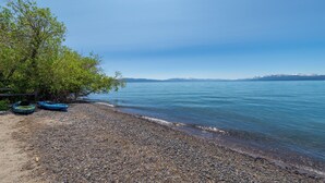 A pebbled beach with boats and a tree.