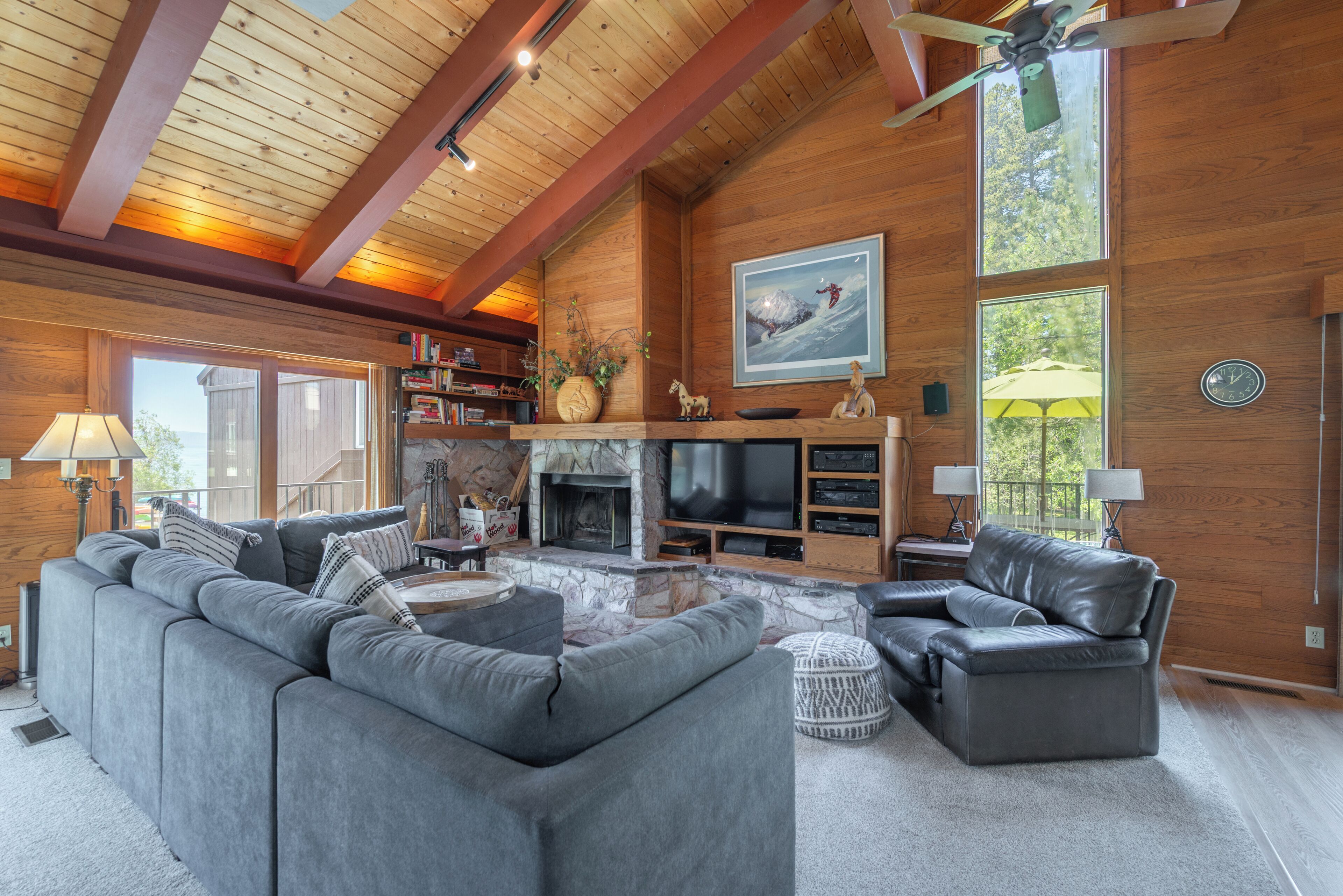 Télévision, cheminée, lecteur de DVD, livres