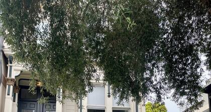 Pacific Heights Victorian Bedroom & Bathroom