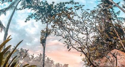 Stylish Open Air Villa in Best Ubud, Bali Location!