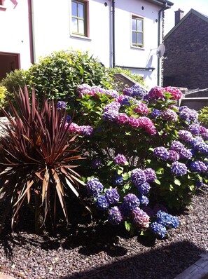 Exterior detail - Spacious Comfortable Holiday Home in the Heart of Dingle (Dingle)