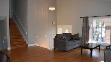 TV, fireplace, video games, DVD player